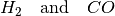 H_2 \quad \text{and} \quad CO